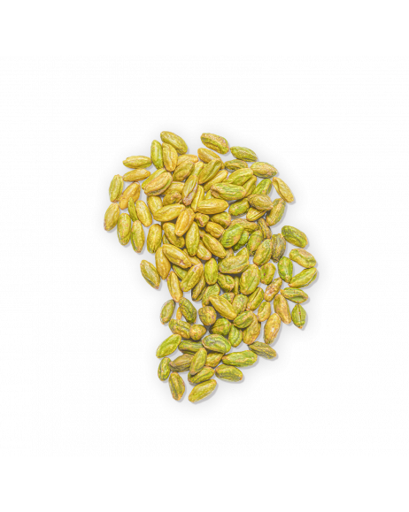 Pistachio, pistachio praline gelato