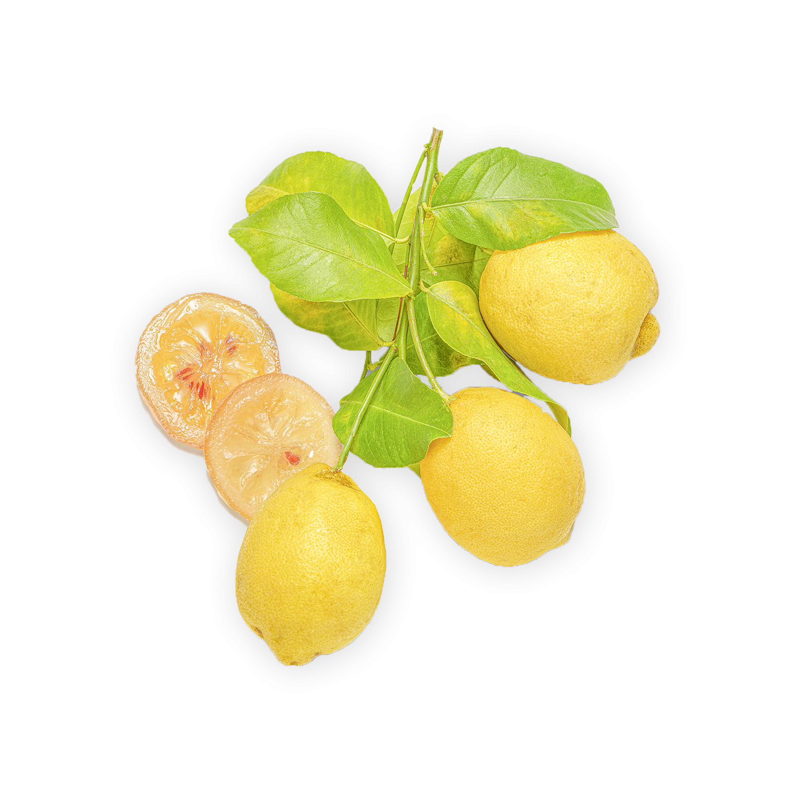 Lemon Sorbet