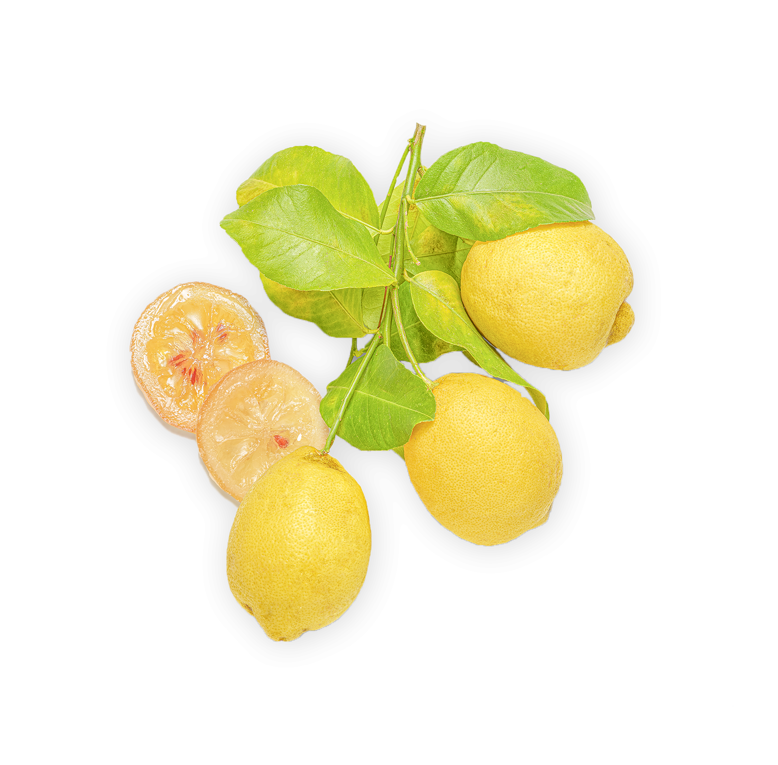 Sorbet Citron