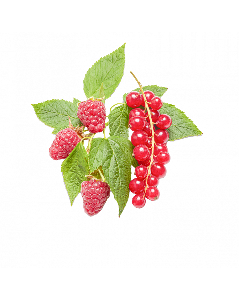 Sorbet Framboise, Groseille