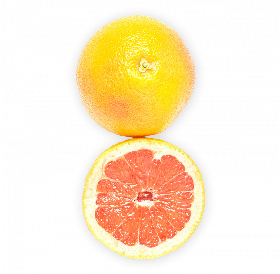 Sorbet Pamplemousse Vermouth
