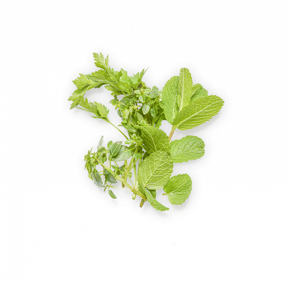Sorbet Herbes Fraîches