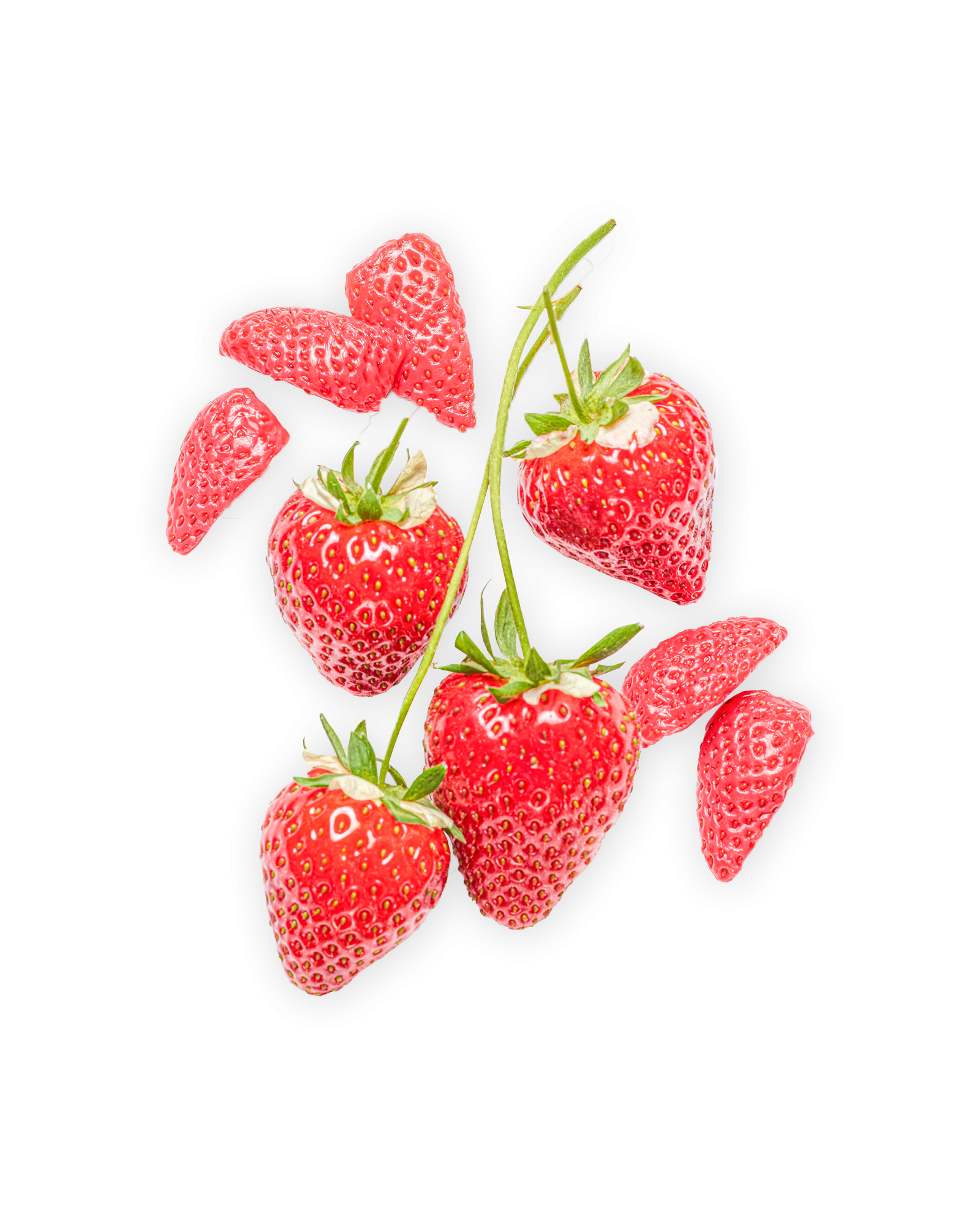 Strawberry & Fermented Strawberry Sorbet
