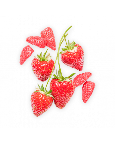 Sorbet Fraise & Fraise fermentée