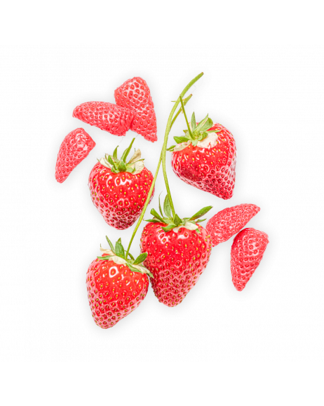 Strawberry & Fermented Strawberry Sorbet