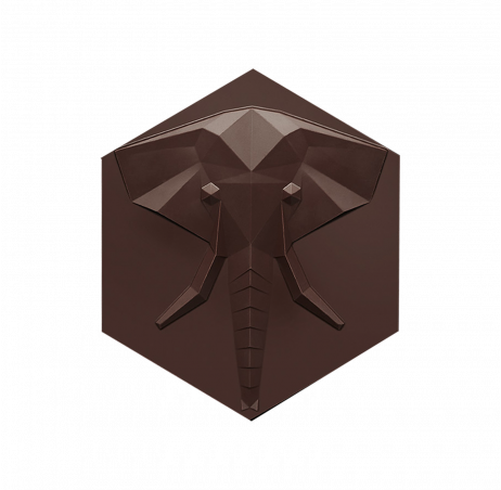 Hexa-éléphant