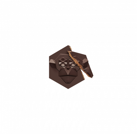 hexa-singe