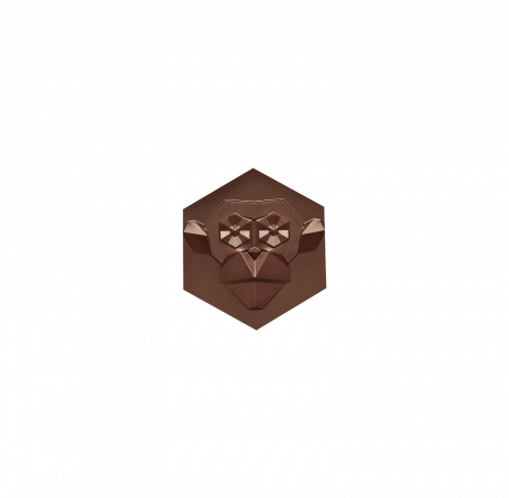 Hexa-singe