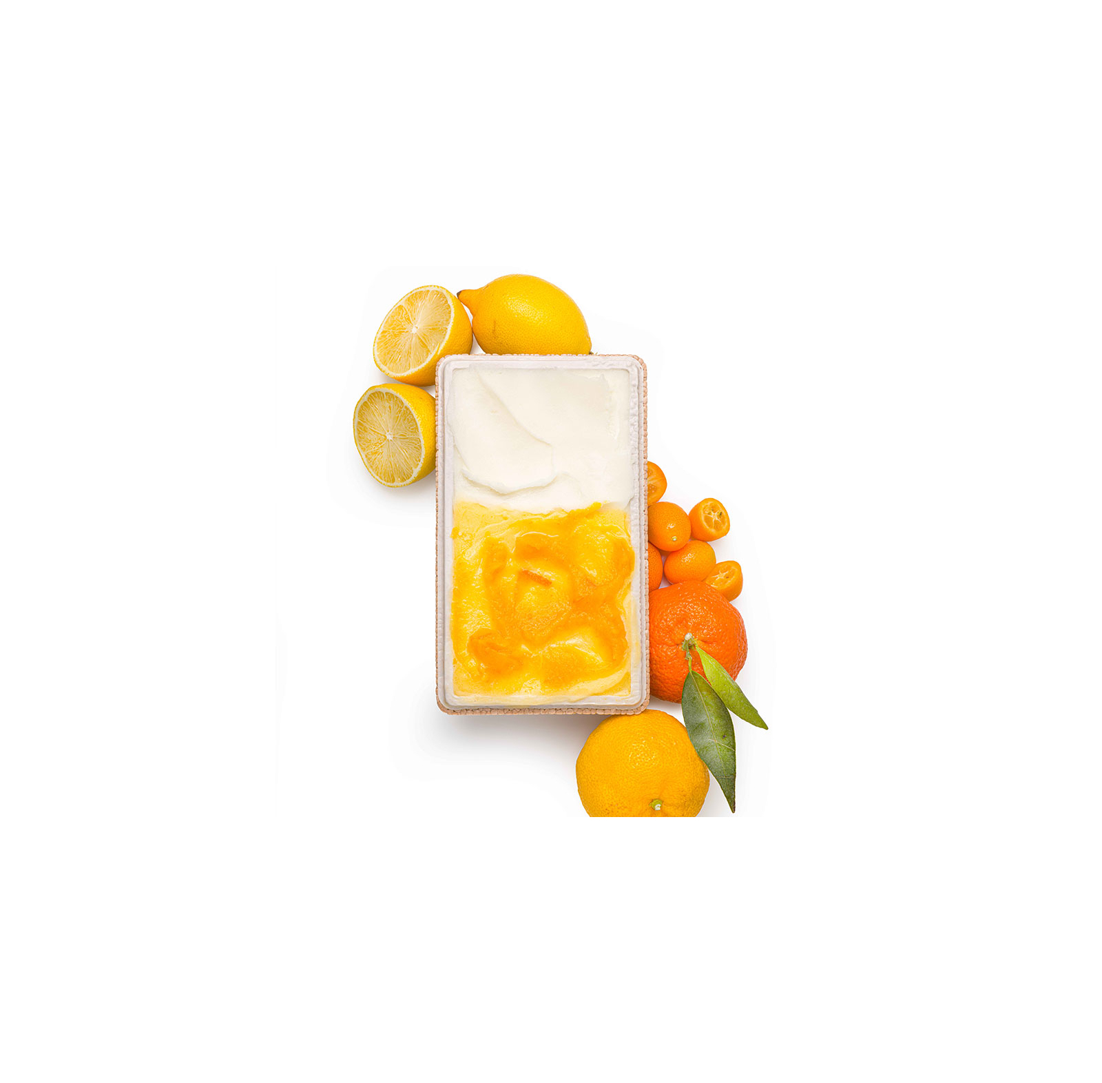 Lemon - Mandarin - Yuzu - Kumquat sorbe
