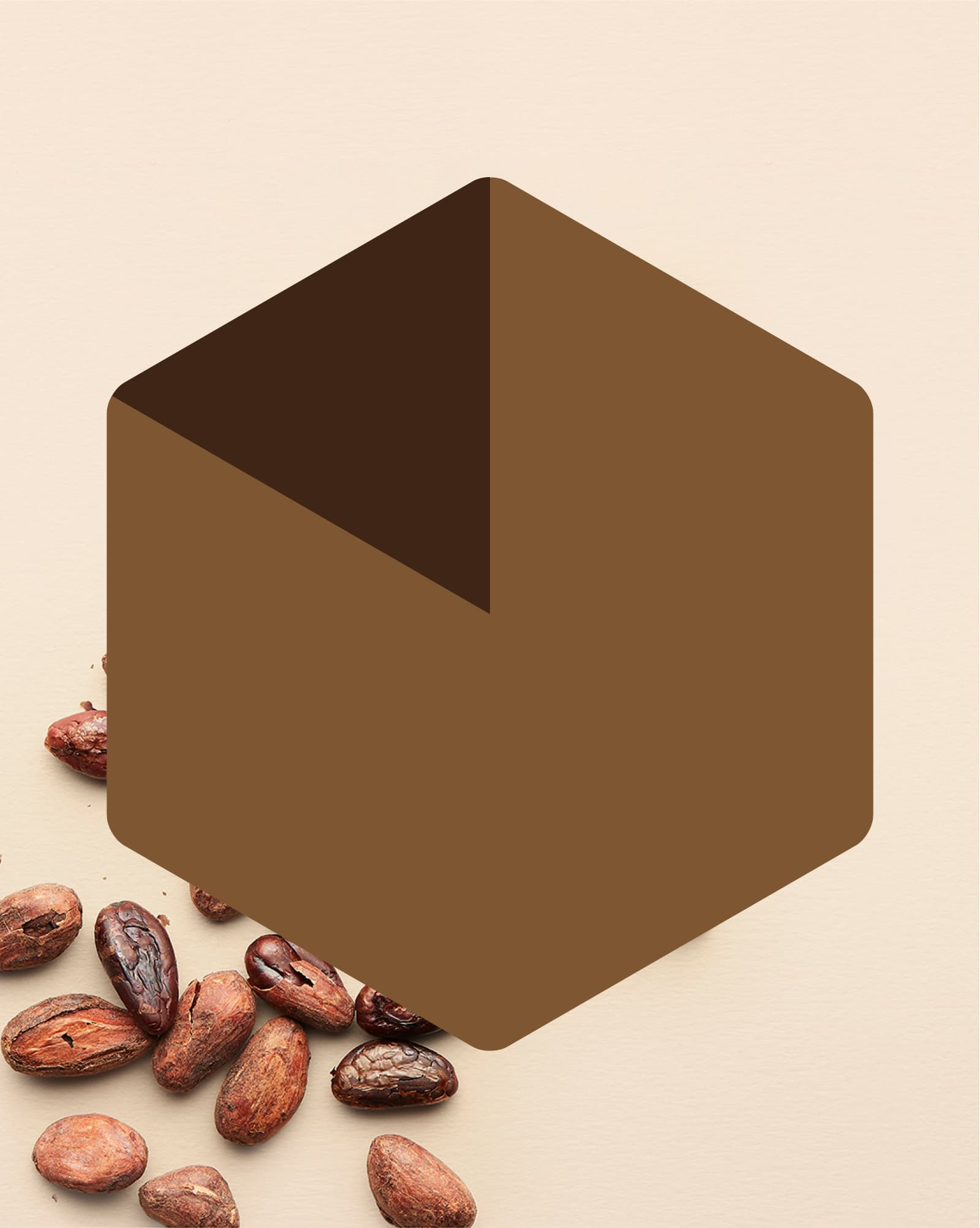 Bolivia Wild Cocoa