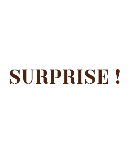 24 - Surprise !