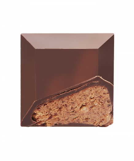 22 - Dark Chocolate Coconut Praline Pepite