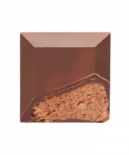 2 - Milk Chocolate Coconut Praline Pepite