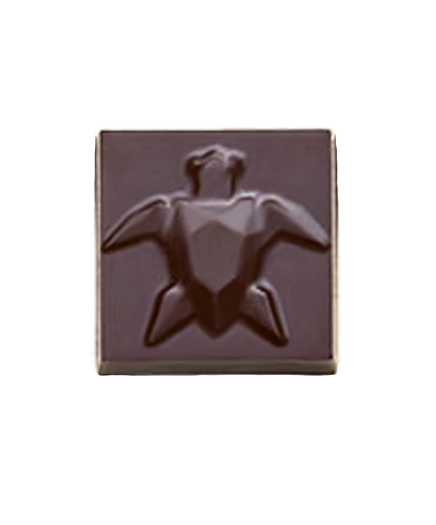 Dark - Marshmallow-Vanilla and Hazelnut Praline