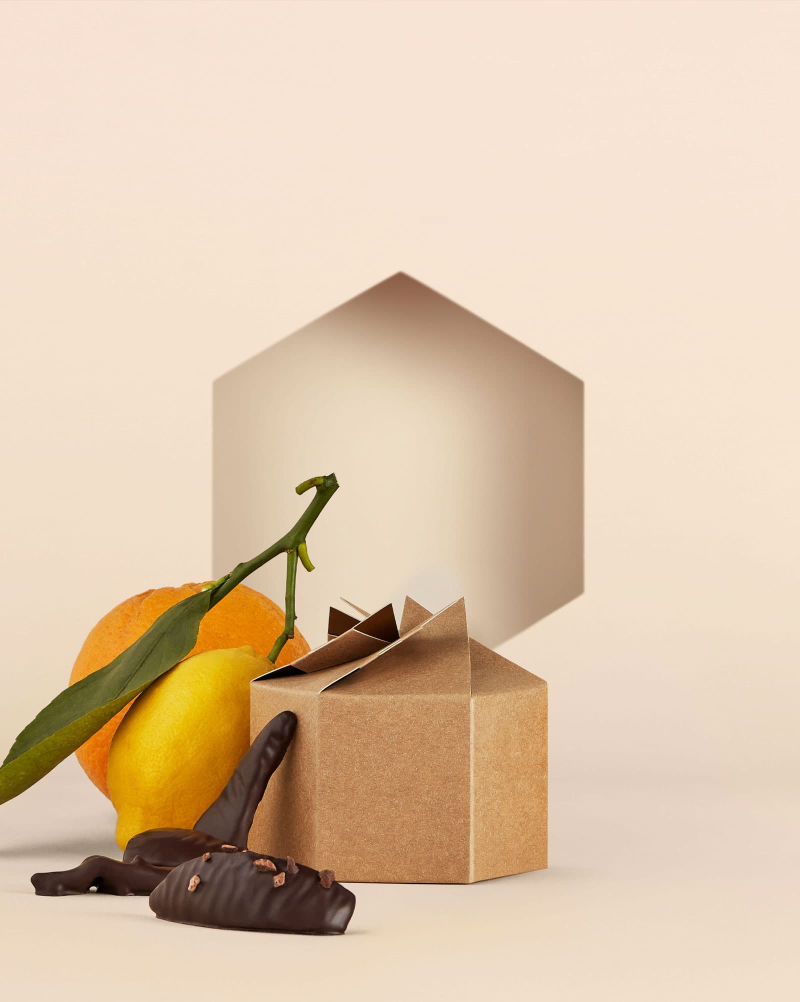 Alain Ducasse Tradition Évolution Ducasse Flavors of France: Ducasse, Alain, Dannenberg, Linda