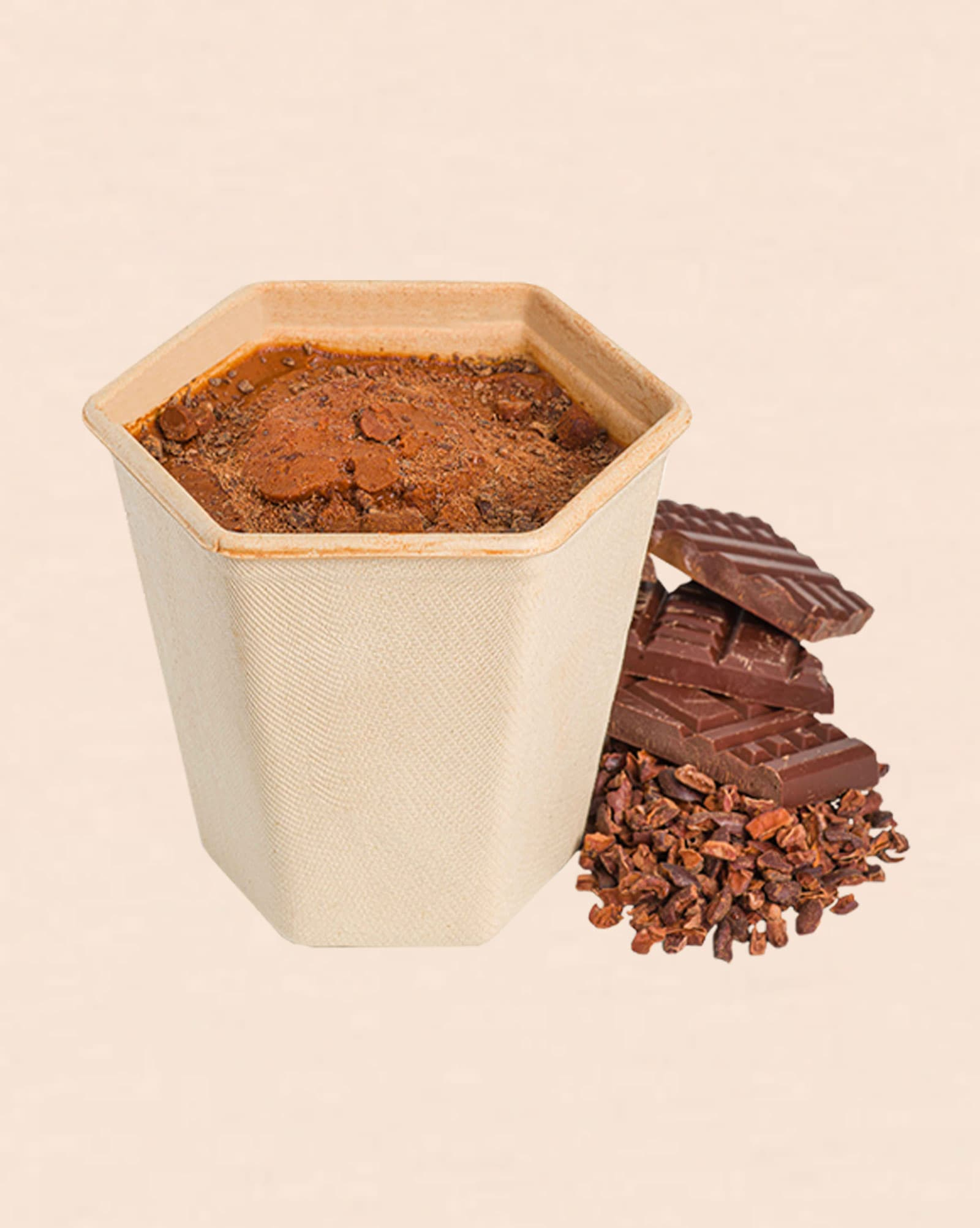Sorbet Chocolat Madagascar