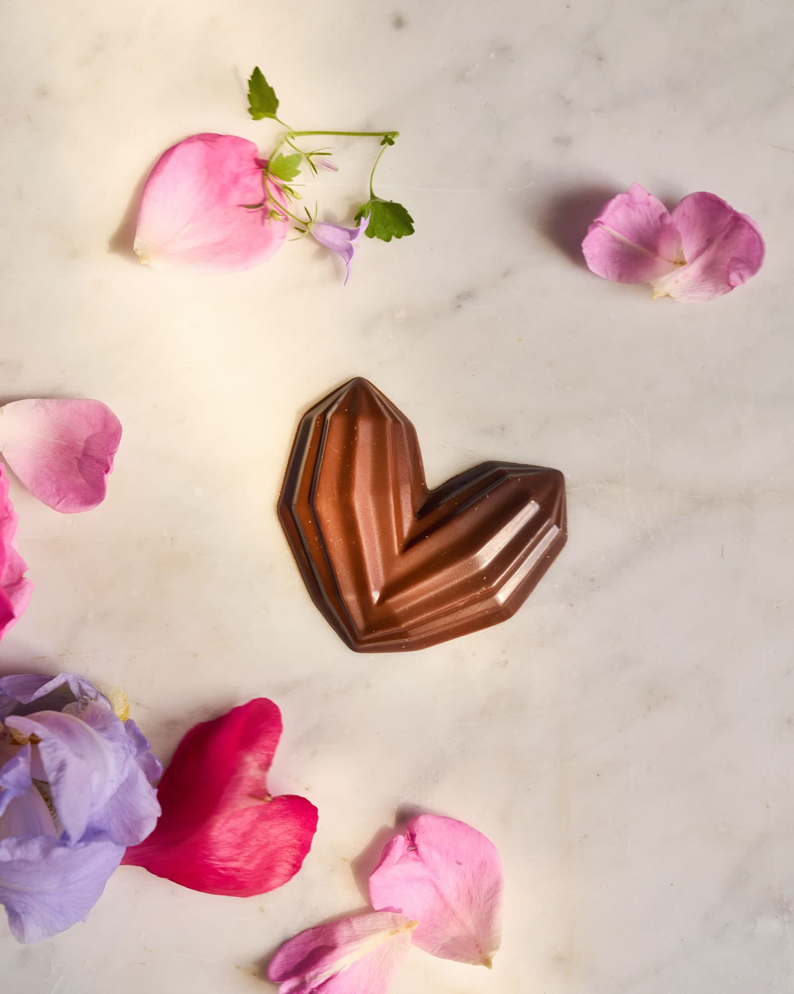 Cocoa pod heart