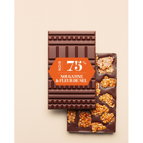 Dark Chocolate Mendiant Bar Nougatine & Fleur de sel 75% | Le