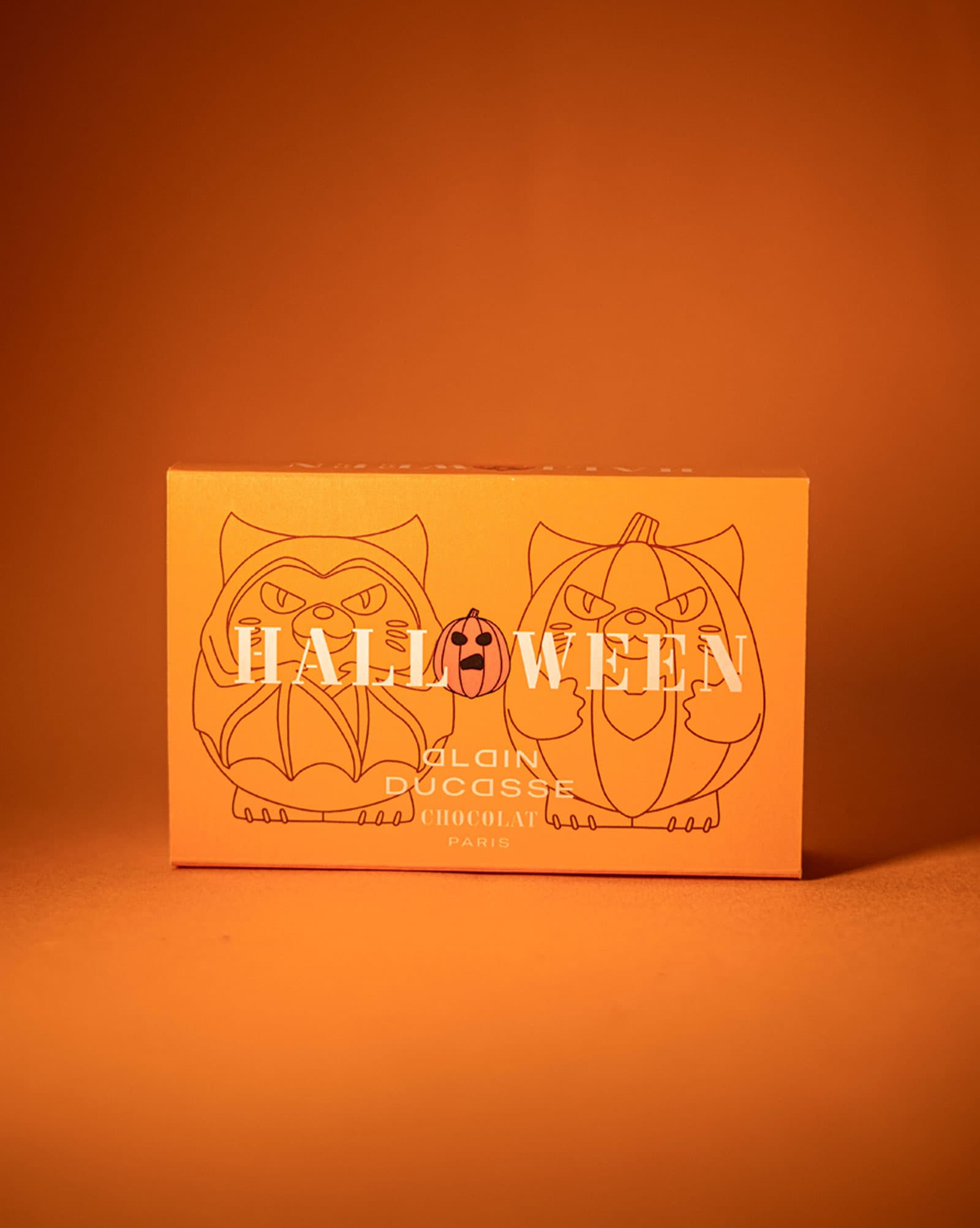 Halloween bear duo