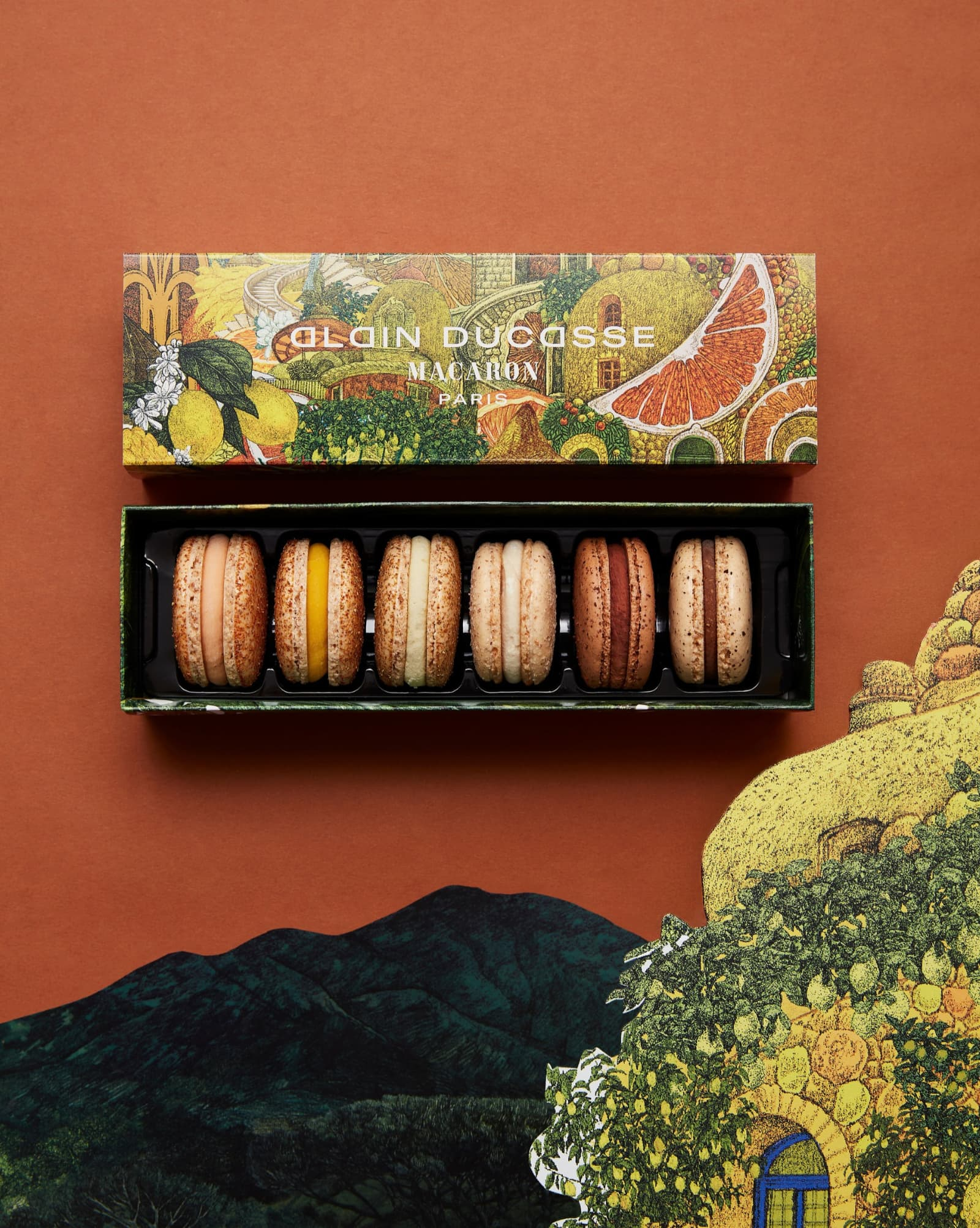 Coffret macarons de Noël