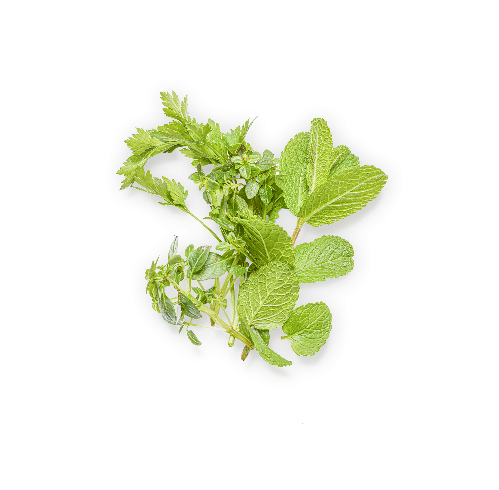Sorbet Herbes Fraîches