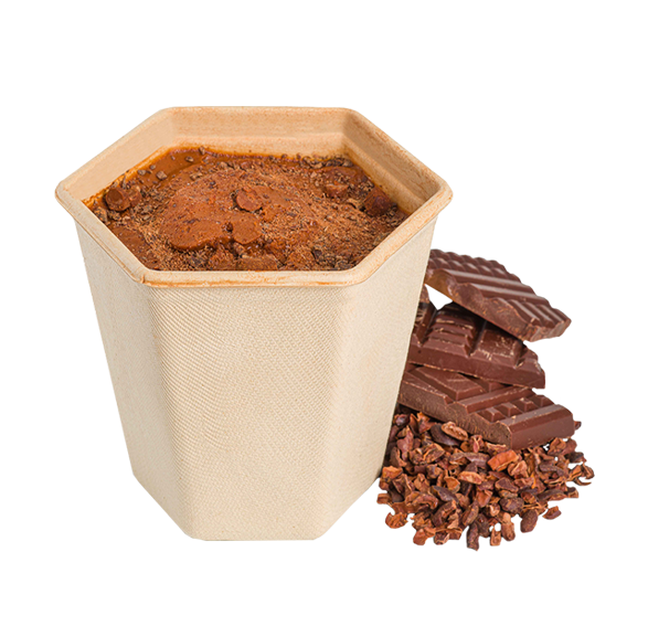 Sorbet Chocolat Madagascar