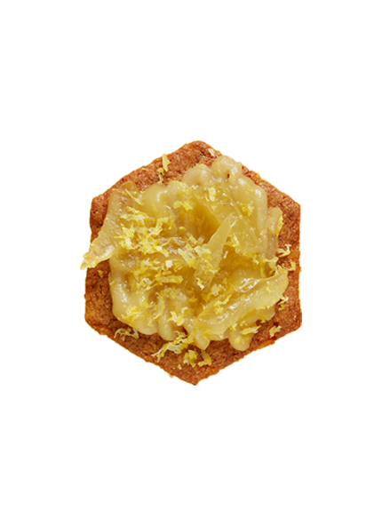 pad-biscuit-alain-ducasse
