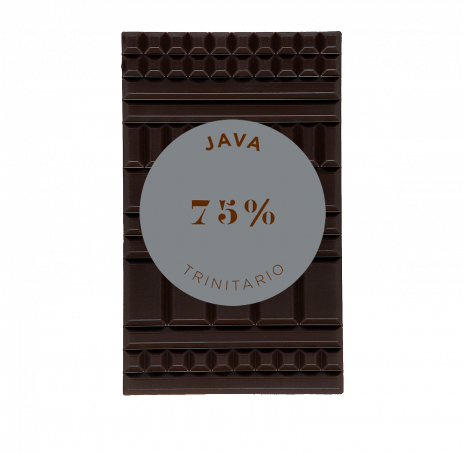 Java