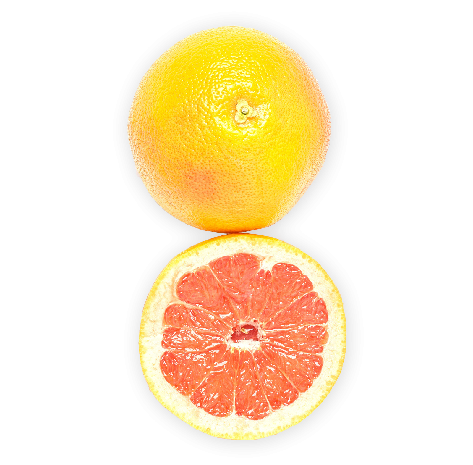 Sorbet Pamplemousse Vermouth