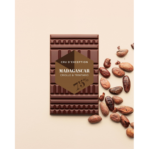 Box of assorted grand cru cocoa chocolates. Jean-Paul Hévin