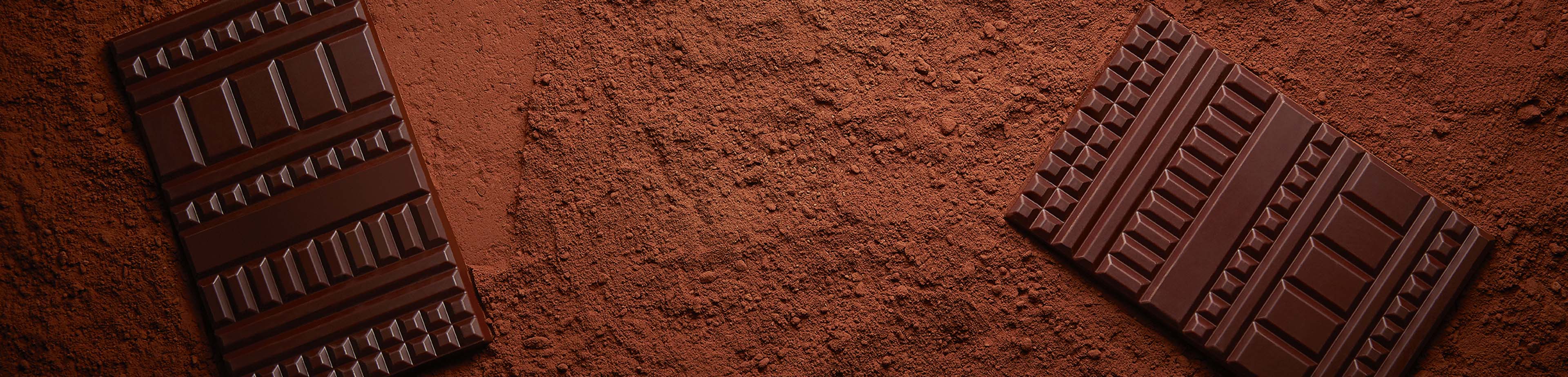banner-chocolate-bars-LeChocolatAlainDucasse